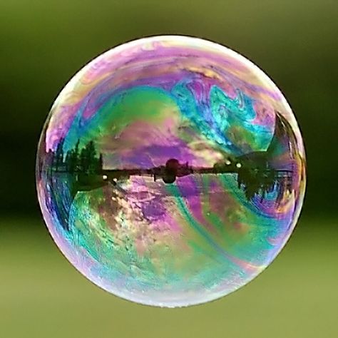 bubbles | Recent Photos The Commons Getty Collection Galleries World Map App ... Bubble Station, Bubble World, Bubbles Photography, Bubble Pictures, Bubble Art, Blowing Bubbles, Pink Bubbles, Color Textures, Natural Environment