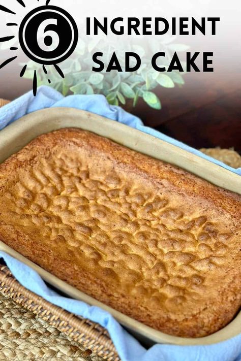 This Sad Cake is an old fashioned cake recipe that uses self-rising flour to make a sunken cake. Easy to make with 6 pantry ingredients. Wacky Cake Recipe 9x13, Old Fashioned Cake, Wacky Cake Recipe, Cake Sheet, Recipes Using Cake Mix, Banana Dessert Recipes, Delish Desserts, Ashley Johnson, Decadent Chocolate Cake