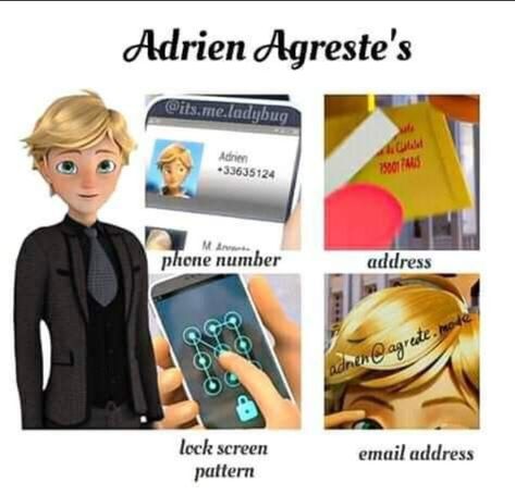 Cute Adrien Agreste, Cat Noir Memes Funny, Adrien Agreste Movie, Adrien Agreste Funny, Ladybug X Adrien, Mlb Marichat, Cat Noir Adrien, Mlb Funny, Mlb Fanart