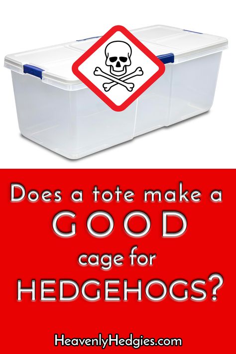 So many people use plastic totes for hedgehog housing. We believe they would think twice if they read the facts! . . . #hedgehogs #hedgehogpet #hedgehogfacts #hedgehogcare #hedgehogcarefacts #toxicplastic || #heavenlyhedgies @heavenlyhedgies Hedgehog Bin Cage, Hedgehog Diy Cage, Hedgehog Habitat Ideas, Diy Hedgehog Toys, Hedgehog Cage Ideas, Diy Hedgehog House, Hedgehog Pet Cage, Hedgehog Facts, Hedgehog Habitat