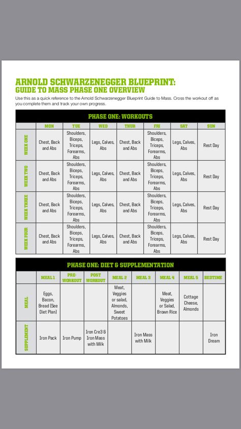 Arnold workout Ppl X Arnold Split, Arnold Split Workout, Arnold Blueprint, Arnold Schwarzenegger Workout, Arnold Workout, Strength And Conditioning Workouts, Gym Workout Planner, Balance Hormones Naturally, Balance Hormones