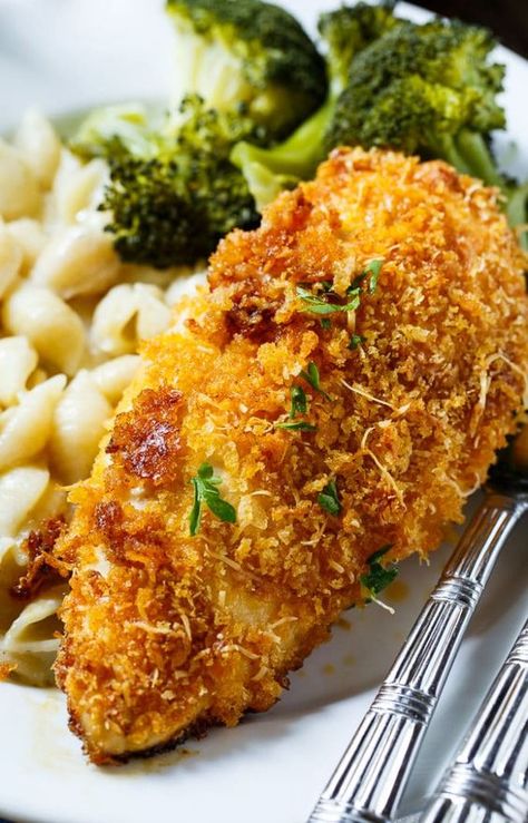 Baked Parmesan Chicken is coated in mayonnaise and then parmesan cheese and Panko crumbs. The most delicious baked chicken! Baked Panko Chicken, Baked Parmesan Chicken, Baked Parmesan Crusted Chicken, Crusted Chicken Recipes, Best Mac N Cheese Recipe, Panko Chicken, Baked Chicken With Mayo, Chicken Shawarma Recipe, Baked Recipes