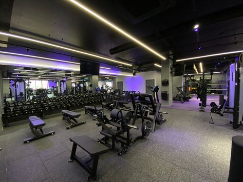 Anytime Fitness Gym, Purple Filter, Commercial Gym Design, Gym Designs, Warehouse Gym, Fitness Center Design, Small Home Gym Ideas, Gym Lighting, Fitness Branding