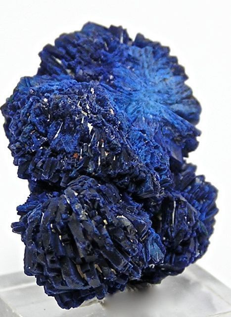 Indigo Blue Azurite Crystal Cluster Mineral Specimen. Sharp facets on the crystal. Lustrous Dimensions (mm): 28 x 25 x 20 Dimensions (inches): 1.1 x 1 x .75 Origins: From Shi Lu Mine, Guangdong Province, China Gemstone Display, Pretty Rocks, Cool Rocks, Azurite Malachite, Beautiful Rocks, Mineral Stone, Rock On, Minerals And Gemstones, Rocks And Gems