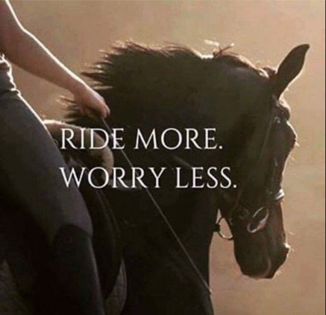 Horse-Sense-MAC-Outdoors-Ride-More-Worry-Less Equine Quotes, Inspirational Horse Quotes, Horse Riding Quotes, Equestrian Quotes, Riding Quotes, Horse Inspiration, Country Girl Quotes, Horse Quotes, Worry Less