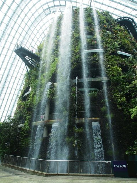 indoor waterfall. http://plumbingplus.net/ Singapore Garden, Indoor Waterfall, Cloud Forest, French Country Garden, Singapore Travel, Gardens By The Bay, Organic Gardening, Just For Fun, Water Features