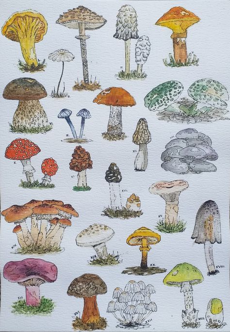 Watercolor Mashrom, Cottage Core Watercolor Paintings, Watercolor Mushrooms Painting, Mushroom Watercolor Paintings Easy, Mushroom Watercolor Art, Watercolour Mushroom Paintings, How To Paint Mushrooms, Cottage Core Paintings, Simple Mushroom Painting