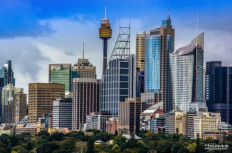 Sydney Skyline, Sydney City, Life Vision Board, Village Life, Favorite City, Sydney Australia, New South Wales, Willis Tower, City Skyline