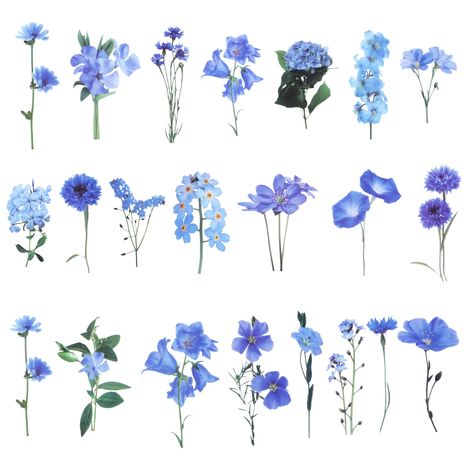 PRICES MAY VARY. Flower Scrapbook Stickers: It's a blue themed flower scrapbook stickes set. You will find different flower shape scrapbooking stickers, like morning glory flower, hydrangeas and campanula flower pattern scrapbook stickers. Easy to Use: You will find these small pieces of flower scrapbook stickers easy to use. Just peel off the back paper, and choose somewhere to decorate. You can use these flower stickers on your daily journaling notebook or travel scrapbook etc. Flower Scrapboo Blue Design For Scrapbook, Scrapbook Blue Theme, Blue Scrapbook Stickers, Flowers Stickers Printable, Small Flower Stickers, Digital Scrapbook Stickers, To Do List Stickers, Campanula Flower, Sticker Themes