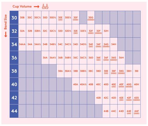 How to measure bra size: Bra size chart with band size and cup volume, 30B to 44F How To Properly Measure Bra Size, How To Know Your Bra Size, How To Measure Bra Size At Home, Measure Bra Size At Home, Bra Measuring, Bra Size Chart, Breast Sizes Chart, Bra Sizing, Eyebrow Template