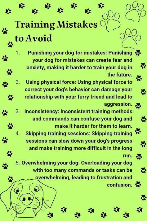 training dog mistkes to avoid Reactive Dog Training Tips, Obedience Training For Dogs, Lacrosse Training, Diy Chat, Service Dogs Gear, Dog Behavior Training, Dog Wellness, Positive Dog Training, Shih Poo