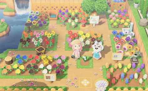 Video Game Rooms Boys, Acnh Flowers, Acnh Inspiration, Animals Crossing, Town Building, Flower Garden Design, Animal Crossing Pocket Camp, Garden Animals, New Animal Crossing