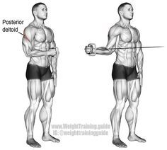 POSTERIOR Cable External Shoulder Rotation Exercise For Shoulder, Food Gym, Fitness Studio Training, Cable Workout, Shoulder Cable, Workouts Gym, Gym Antrenmanları, Muscle Abdominal, Outfit Gym