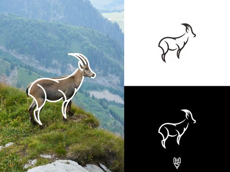 Ibex Logo, Illustration Practice, Goat Logo, Fantasy Monster, Creative Professional, Global Community, Moose Art, Logo Design, ? Logo