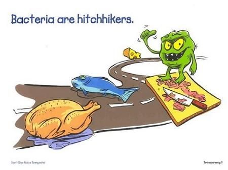 Cross-contamination could easily mean becoming ill and ending up in the emergency room. Keep raw poultry and raw red meats separated from your vegetables. Supervisor Training, Emergency Room, Red Meat, Food Safety, Processed Food, A Food, Health, For Sale