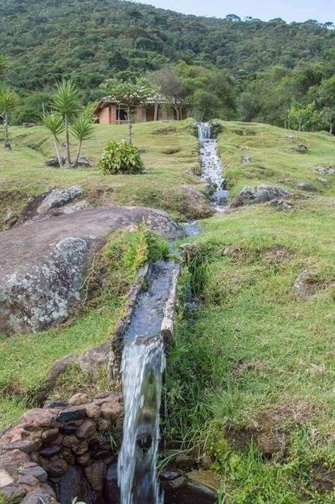 Photography Ideas Nature, Nature Photography Ideas, Hillside Farms, Taman Air, Nature Photography Tips, Backyard Water Feature, Water Features In The Garden, Earthship, Natural Pool