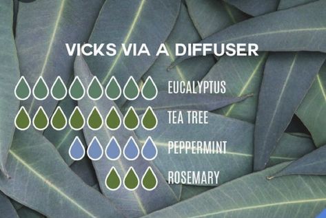 For Sore Throat, Fall Diffuser Blends, Essential Oil Combinations, List Of Essential Oils, Essential Oil Diffuser Blends Recipes, Young Living Essential Oils Recipes, Essential Oil Spray, Essential Oils Herbs, Essential Oils Health