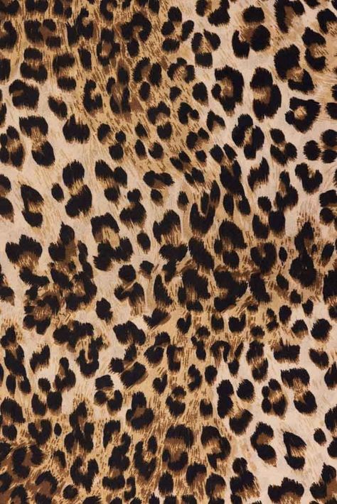 Pattern wallpaper Glamour Leopard Print, Animal Print Background Wallpapers, Leaped Print Wallpaper, Leopard Print Iphone Wallpaper, Lepord Print 2000s Wallpaper, Leopard Aesthetic Wallpaper, Lepord Print 2000s, Leopard Print Background Aesthetic, Iphone Wallpaper Leopard