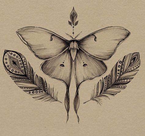 Botanical Ornamental Tattoo, Botanical Tattoo Vintage, Attractive Tattoos For Women, Moth Reference, Attractive Tattoos, Community Tattoo, Tattoo Papillon, Placement Tattoo, Luna Moth Tattoo