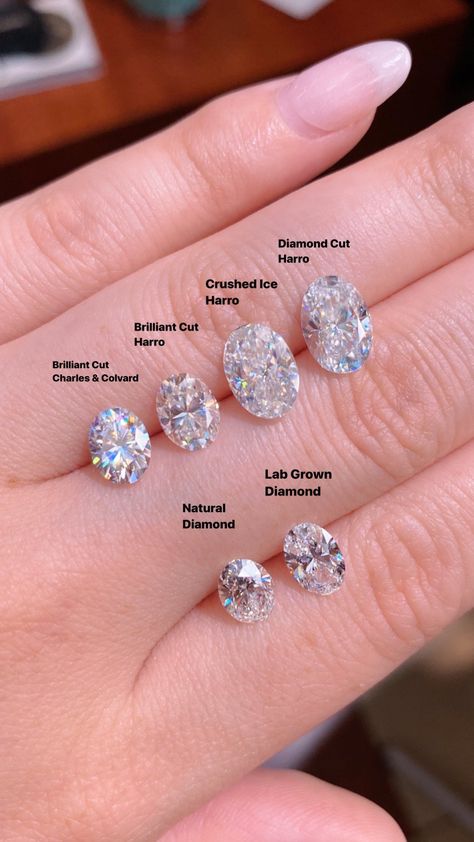 Oval Moissanite Brands versus Lab and Natural Diamonds – Princess Bride Diamonds Tiffany Diamond Ring, Oval Cut Diamond Rings, Moissanite Vs Diamond, Oval Moissanite Ring, Charles And Colvard Moissanite, Future Engagement Rings, Oval Diamond Ring, Jewelry Education, Moissanite Engagement Ring Oval