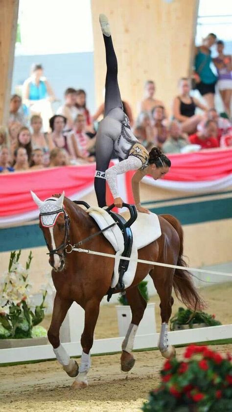 vaulting Horse Gymnastics, Vaulting Horse, Equestrian Vaulting, Dressage Pirouette, Equestrian Vaulting Moves, Horse Vaulting Moves, Working Equitation, Horse Vaulting Double Moves, Vaulting Equestrian