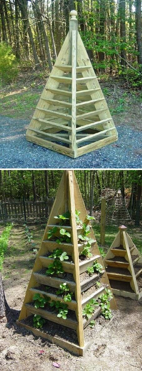 Exclusive Foods: How to build pyramid strawberry  -- Love Love Love IT !! Strawberry Planters Diy, Pyramid Planter, Strawberry Tower, Strawberry Planters, Vertical Vegetable Garden, Vertical Herb Garden, Plants Growing, Growing Strawberries, Vertical Gardens