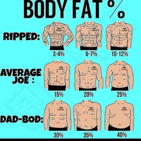 Lower Body Fat Percentage, Body Fat Percentage Calculator, Lower Body Fat, Body Fat Percentage, Back Pain Relief, Yoga For Men, Bodybuilding Workouts, Visual Representation, Which One Are You