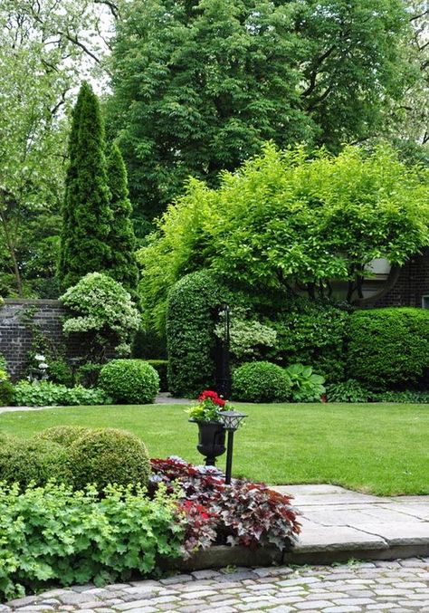 layers of grand garden elements...: Woodland Garden Ideas, Formal Garden Design, Front Landscape, Conifers Garden, Grand Garden, Evergreen Garden, Three Dogs, Garden Elements, Woodland Garden