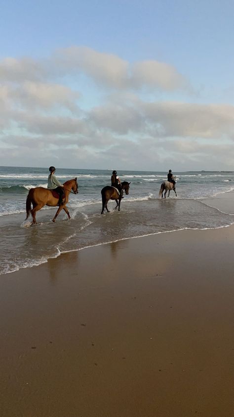 California Horse Ranch, Farm Near The Beach, Saltwater Cowboy, Saltwater Cowgirl, Costal Cowboy, California Cowgirl, Coastal Ranch, Beach Cowboy, Cowgirl Coastal