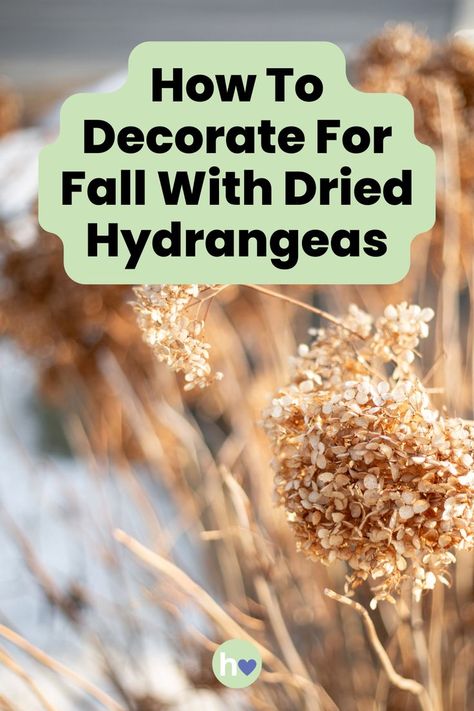 How To Decorate For Fall With Dried Hydrangeas Hydrangea Shade, Hydrangea Bouquets, Propagating Hydrangeas, Hydrangea Garland, Hydrangea Varieties, Decorate For Fall, Rustic Baskets, Hydrangea Arrangements, Hydrangea Care