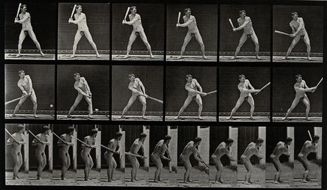 Eadweard Muybridge, Wellcome Collection, Animation Tutorial, Human Male, Work With Animals, Animation Reference, Male Form, Action Poses, New Poster