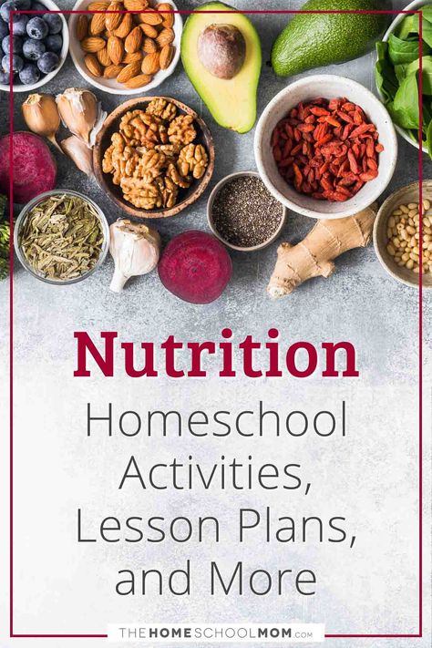 Homeschool Culinary Arts, Homeschool Nutrition Unit, Homeschool Nutrition Curriculum, Nutrition Lesson Plans Elementary, Nutrition Classes Lesson Plans, Nutrition Unit Study, Homeschool Cooking Lessons, Nutrition Lessons For Kids, Nutrition Lesson Plans