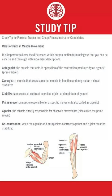 Ace Personal Training Exam Tips, Ace Fitness Certification Study, How To Ace Anatomy And Physiology, Ace Study, Personal Trainer Business, Ace Fitness, Medical Assistant Student, Yoga Teacher Resources, Physical Therapy Assistant