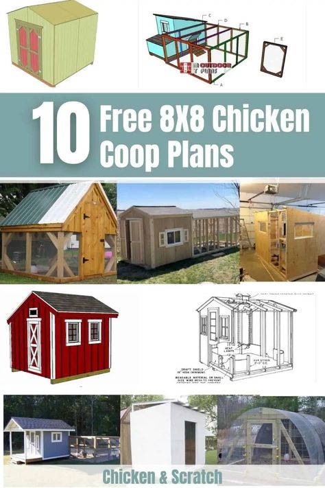 10 Free 8x8 Chicken Coop Plans You Can DIY This Weekend Walk In Chicken Coop Plans Free, Chicken Coop Plans Free Step By Step, Chicken Shelter Ideas, Chicken Coupe Diy Plans, Chicken House Ideas Buildings, Diy Chicken Coop Ideas Easy Cheap, Free Diy Chicken Coop Plans, Chicken Coop Layout, Chicken House Plans