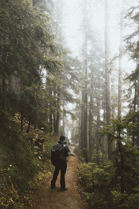 . Forest Core, Temperate Rainforest, Hiking Spots, Mount Rainier National Park, Amazing Nature Photos, Forest Photography, Landscape Pictures, Travel Stories, Nature Travel