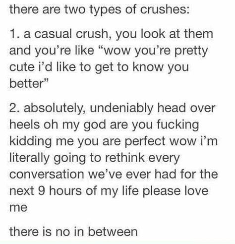 crushes Funny Tumblr Stories, Crush Facts, Crush Humor, Super Quotes, Relationship Memes, Memes Kpop, Trendy Quotes, Funny Relationship, My Chemical