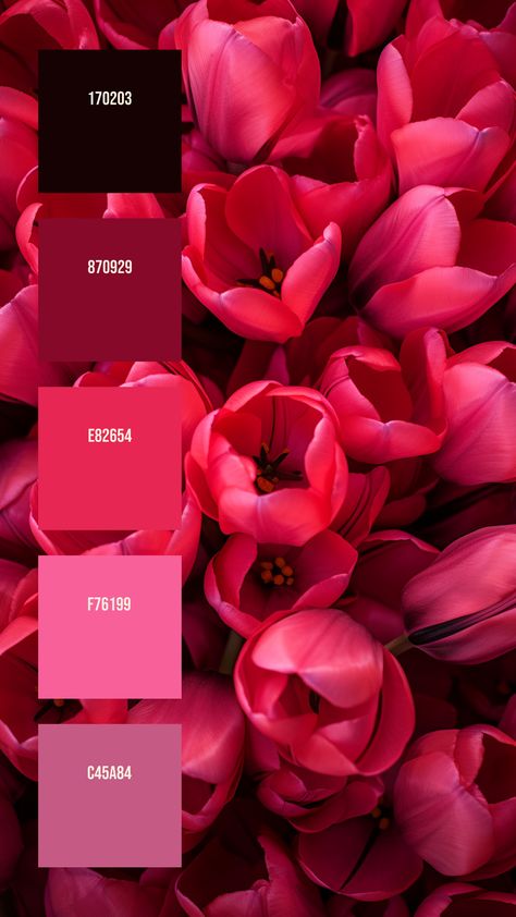 Colors:
170203
870929
E82654
F76199
C45A84 Deep Pink Color Palette, Bright Pink Colour Palette, Moody Spring Color Palette, Red Orange Palette, Chanel Color Palette, Bright Pink Color Palette, Petals Drawing, Color Palette Flowers, Vivid Color Palette