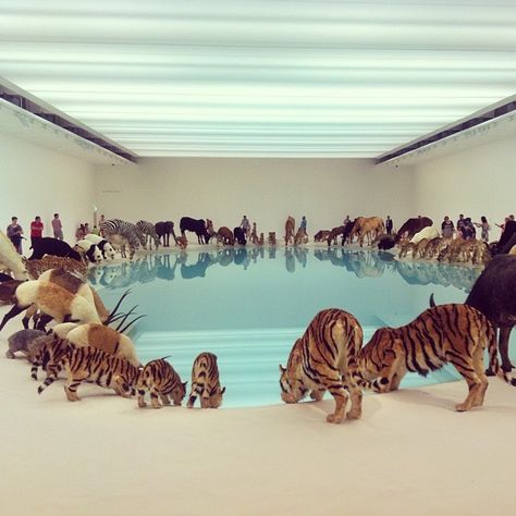 Cai Guo Qiang, Art Cube, Gallery Of Modern Art, Surreal Photos, Popular Art, Contemporary Artist, Vanuatu, Samoa, Aboriginal Art