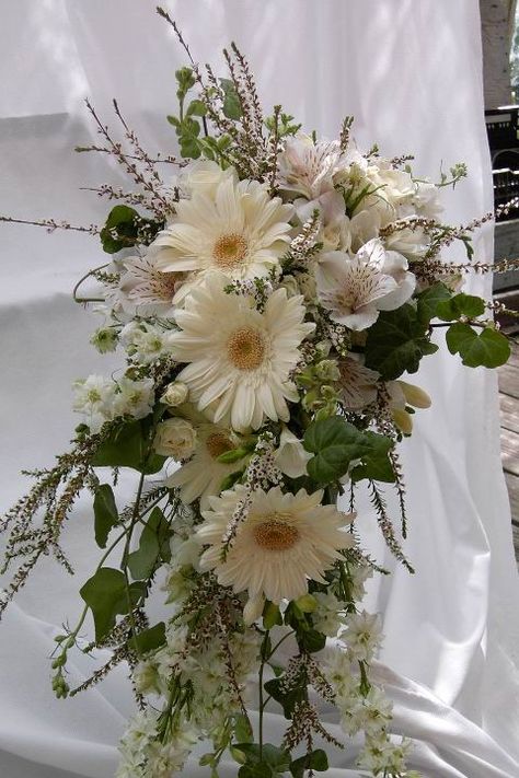 Cascading all white bouquet including Gerbera Daisies, Alstroemeria, Larkspur with Calcynia as filler flower and Ivy Daisy And Larkspur Bouquet, Daisy Bridal Bouquet, All White Bouquet, Daisy Bouquet Wedding, Bouquet Styles, Thistle Bouquet, Beach Bouquet, Heather Wedding, Small Wedding Bouquets