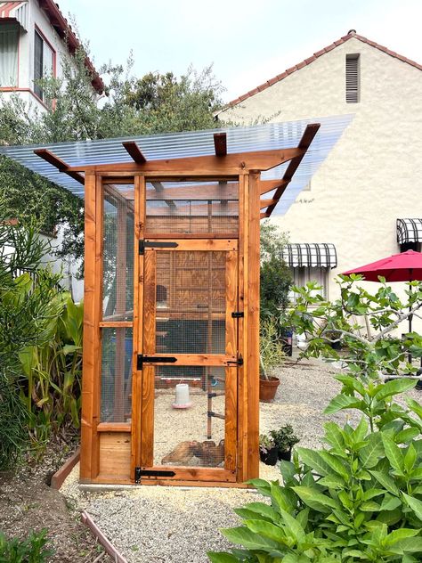 Examples of Large Backyard Chicken Coops | The Garden Coop Tall Chicken Coop, Quail Coop Plans, Brooder Box, Quail Coop, Walk In Chicken Coop, Backyard Chicken Coop Plans, Coop Design, Chicken Coop Designs, Diy Chicken