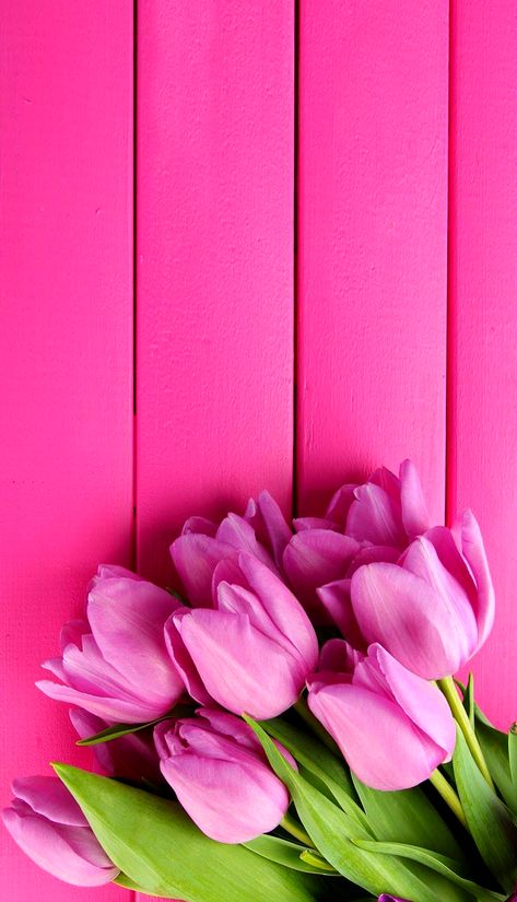 Frühling Wallpaper, Nature Iphone Wallpaper, Pink Flowers Wallpaper, Flower Iphone Wallpaper, Wallpaper Pastel, Spring Wallpaper, Trendy Flowers, Flower Background Wallpaper, Beautiful Flowers Wallpapers