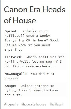 Slytherin Tumblr, Hogwarts Professors, Funny Harry Potter Jokes, Harry Potter Feels, Harry Potter Puns, Two Years Later, Potter Facts, Harry Potter Houses, Harry Potter Headcannons