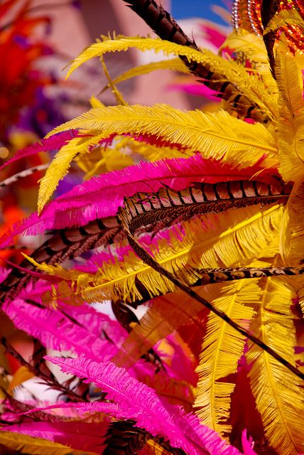 #SandorCity Brazilian Carnival Aesthetic, Aruba Carnival, Carnival Feathers, Carnival Caribbean, Aruba Trip, Colourful Feathers, Carnival Rio, Oranjestad Aruba, Latin Party