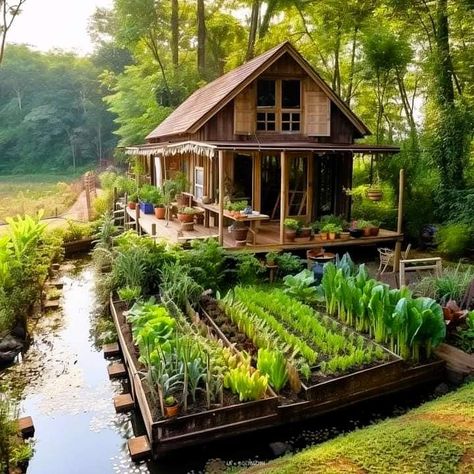 Bahay Kubo, Thai House, Earthy Home, Hippie Homes, A Small House, Bamboo House, Tropical House, Village House Design, Earthship