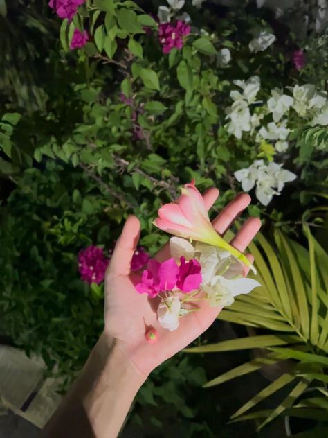 Plucking Flowers, Flowers