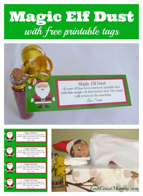 Lifestyle blog showcasing craft tutorials, holiday fun, party planning, recipes, DIY projects, travel tips, and more. Easy & inexpensive family fun. Elf Dust, Christmas Crafts Gift Ideas, Christmas Elfs, Child Guidance, Magic Dust, Christmas For Kids, Elf Magic, Elf On Shelf Ideas, Free Printable Tags