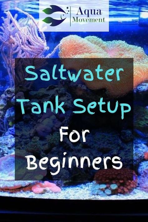 Small Salt Water Aquarium, Small Saltwater Aquarium, Salt Water Tank Beginner, Salt Water Tank Ideas, Salt Water Aquarium Ideas, Small Saltwater Tank, Saltwater Tank Setup, Saltwater Aquarium Beginner, Seahorse Aquarium