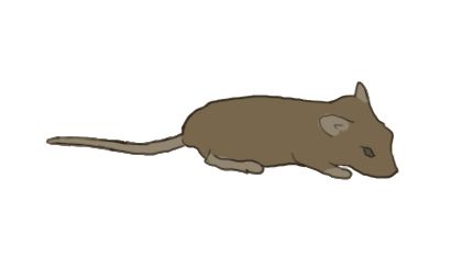 animated-mouse-gif.gif (430×233) Mouse Animation, Running Cartoon, Cartoon Rat, Notion Ideas, Running Gif, Walk Cycle, Cartoons Png, Cute Mouse, Cool Animations