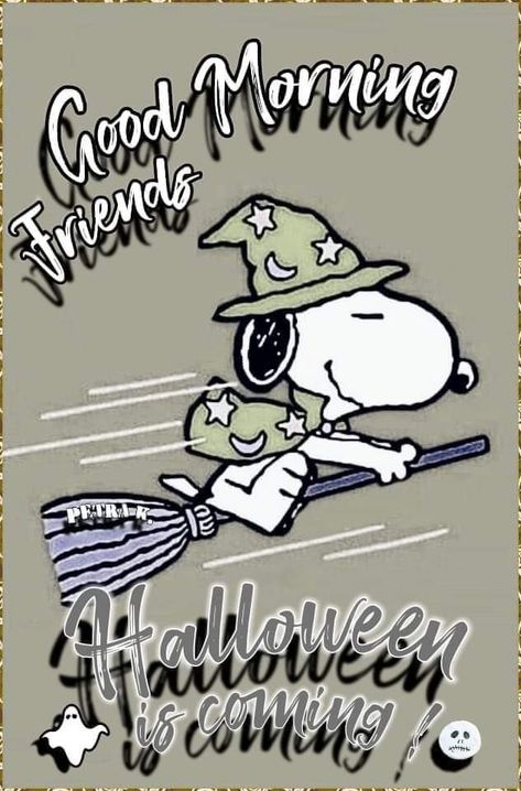 Sneaker Posters, Snoopy Halloween, Snoopy Images, Snoopy Wallpaper, Peanuts Characters, Snoopy Love, Charlie Brown And Snoopy, Good Morning Friends, Peanuts Gang