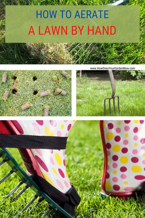 No machine lawn aeration. Aerate lawn by hand. Manually aerate lawn. #aeratelawn #aeratelawnbyhand #manuallyaeratelawn Lawn Aeration, Backyard Hacks, Rye Grass, Garden Rake, Diy Lawn, Aerate Lawn, Lawn Care Tips, Lush Lawn, Gardening Hacks